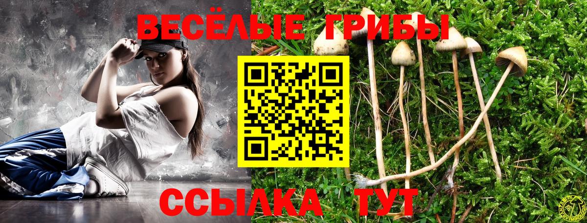 Междуреченск  Галлюциногенные грибы прущие грибы  Вход с VPN  Псилоцибиновые грибы GOLDEN TEACHER 